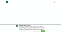Desktop Screenshot of ntsinternational.com